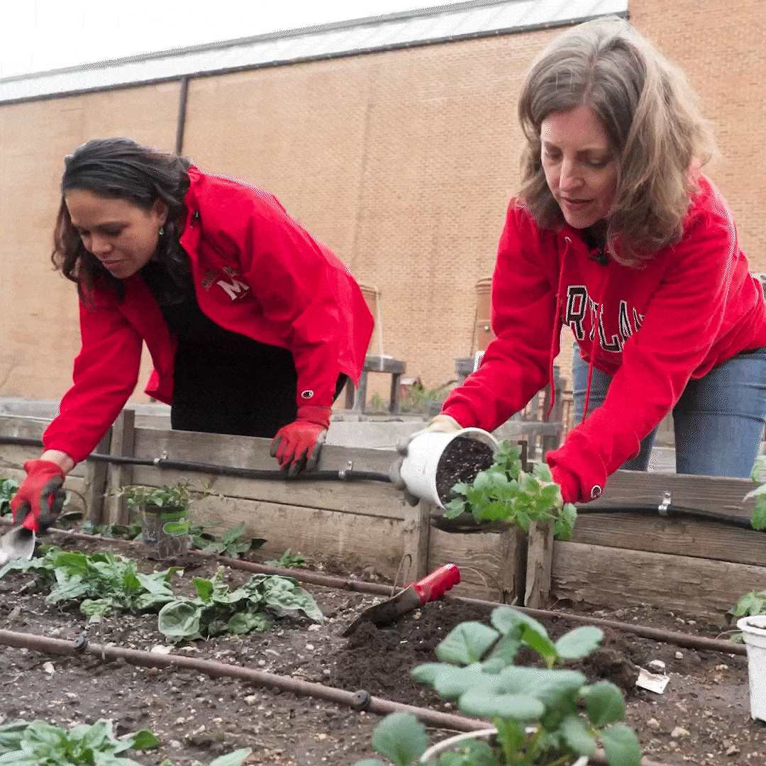 Terps come together, deepening connections, elevating excellence and uniting to do good on our campus and around the globe.